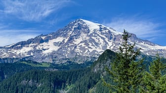 Snow-capped Mount Rainier beneath a clear blue sky with wispy clouds, its glaciers and bare rock rising above forested foothills, with a tall evergreen at right and dense conifer forest in the foreground, Washington.